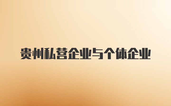 贵州私营企业与个体企业