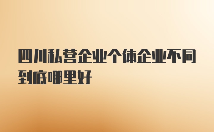 四川私营企业个体企业不同到底哪里好