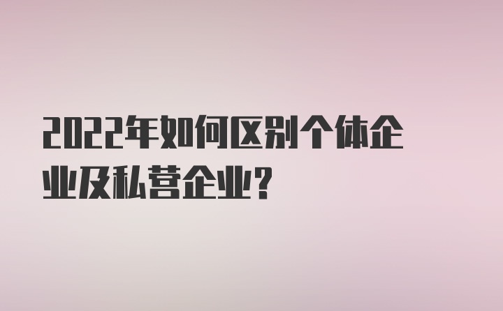 2022年如何区别个体企业及私营企业？