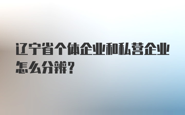 辽宁省个体企业和私营企业怎么分辨？