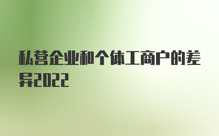 私营企业和个体工商户的差异2022