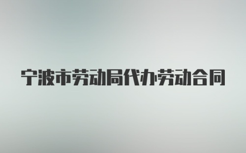 宁波市劳动局代办劳动合同