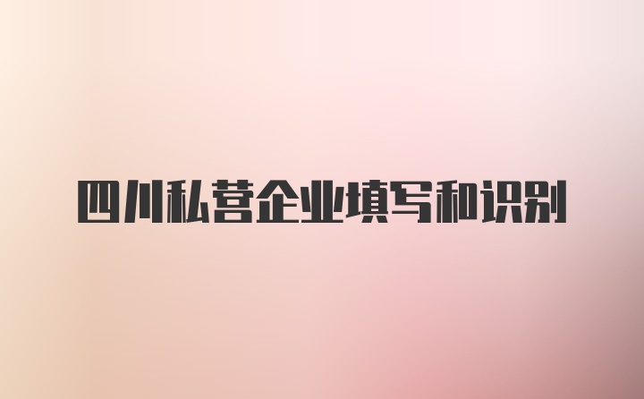 四川私营企业填写和识别