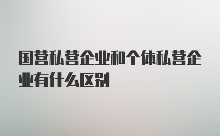 国营私营企业和个体私营企业有什么区别