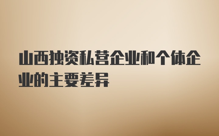 山西独资私营企业和个体企业的主要差异