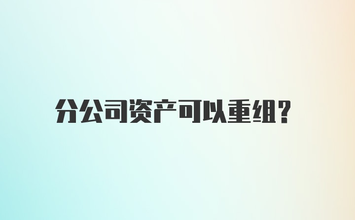 分公司资产可以重组？