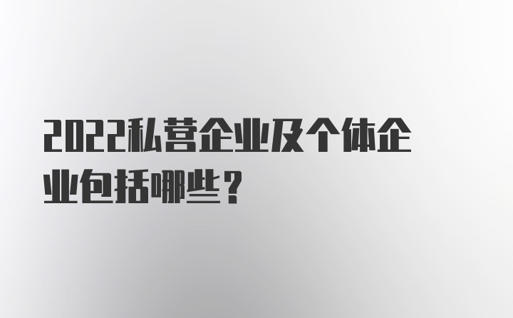 2022私营企业及个体企业包括哪些？