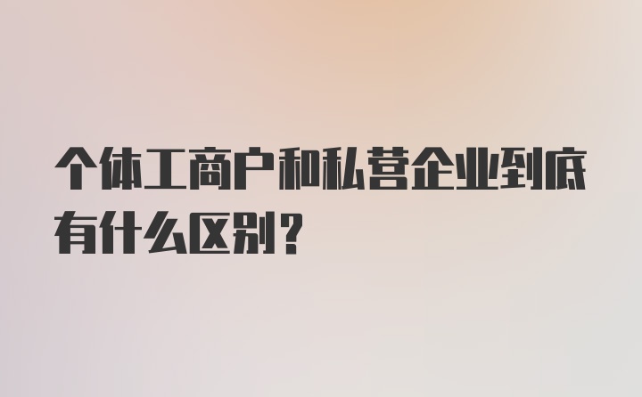 个体工商户和私营企业到底有什么区别?