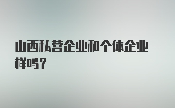 山西私营企业和个体企业一样吗？