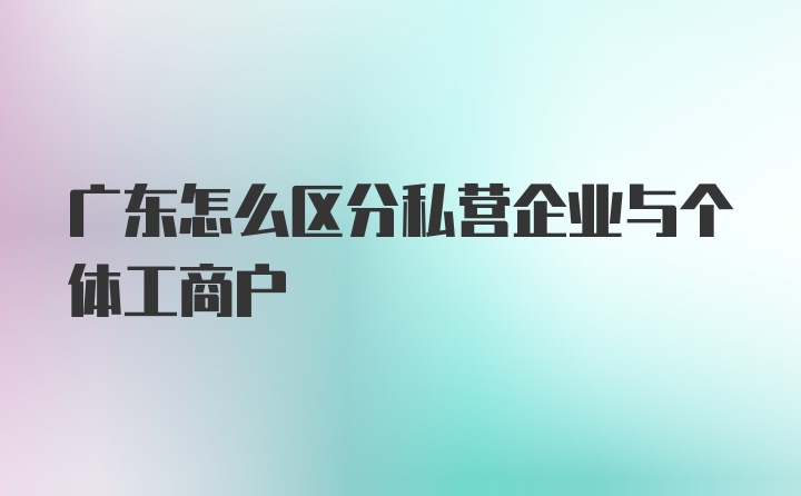 广东怎么区分私营企业与个体工商户