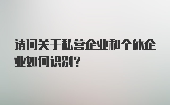 请问关于私营企业和个体企业如何识别？