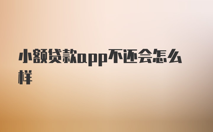 小额贷款app不还会怎么样