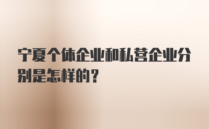 宁夏个体企业和私营企业分别是怎样的？