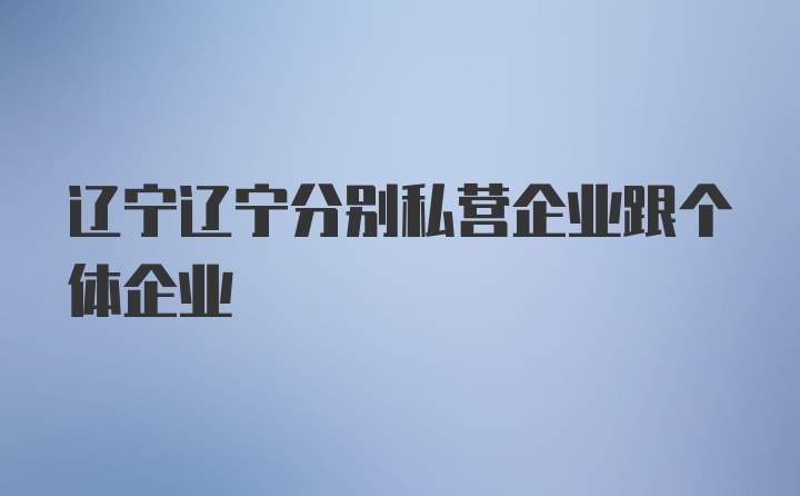 辽宁辽宁分别私营企业跟个体企业