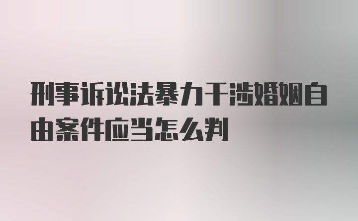 刑事诉讼法暴力干涉婚姻自由案件应当怎么判