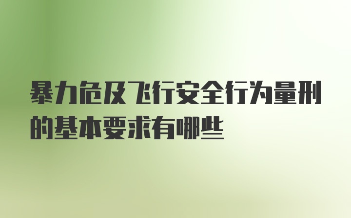 暴力危及飞行安全行为量刑的基本要求有哪些