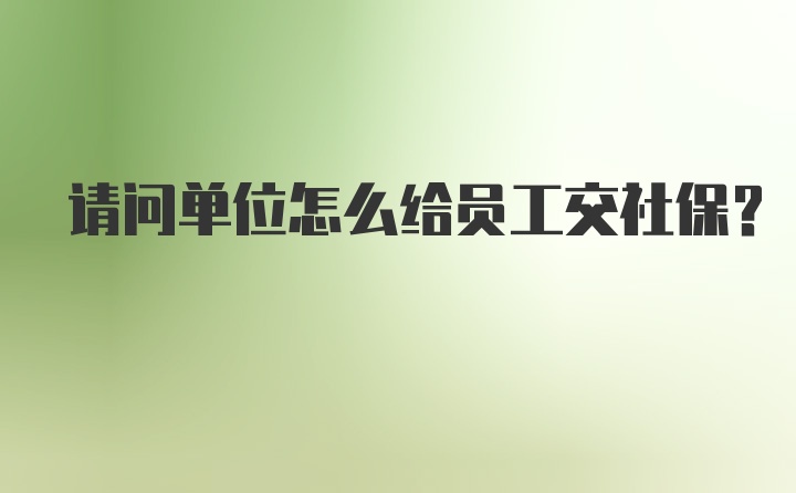 请问单位怎么给员工交社保？