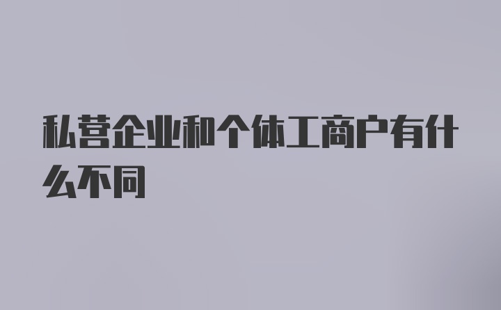 私营企业和个体工商户有什么不同