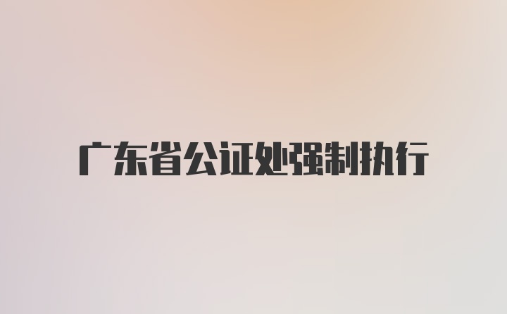 广东省公证处强制执行