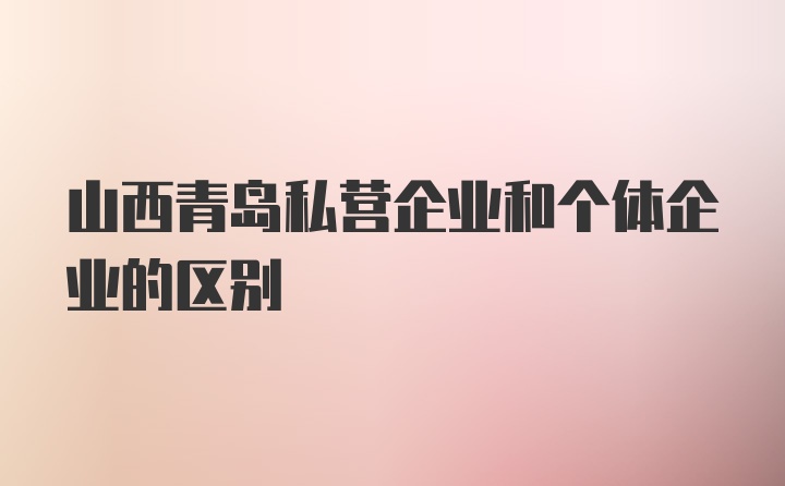 山西青岛私营企业和个体企业的区别