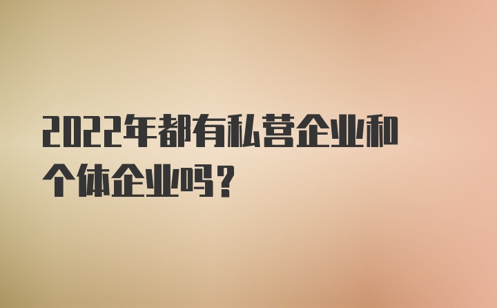 2022年都有私营企业和个体企业吗？