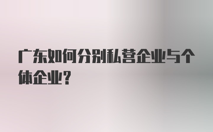 广东如何分别私营企业与个体企业？