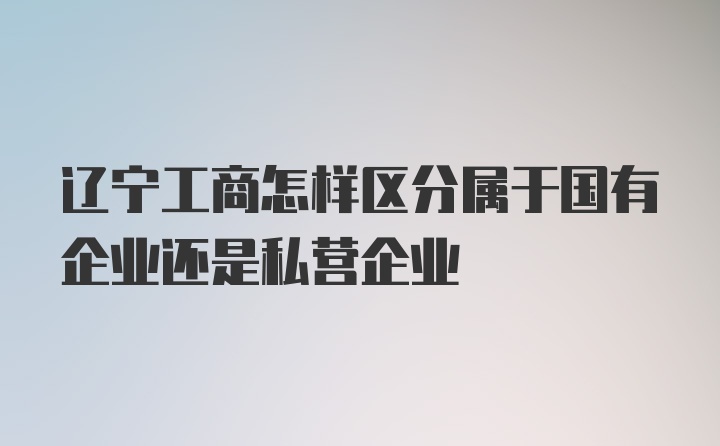 辽宁工商怎样区分属于国有企业还是私营企业