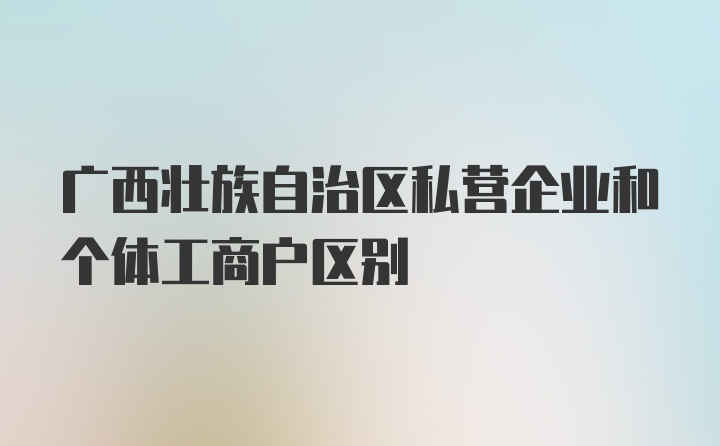 广西壮族自治区私营企业和个体工商户区别