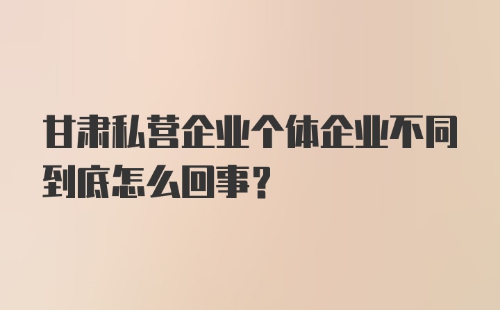 甘肃私营企业个体企业不同到底怎么回事？