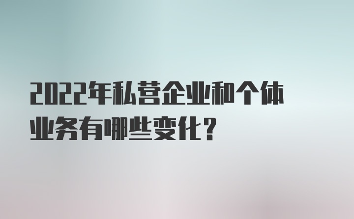 2022年私营企业和个体业务有哪些变化？