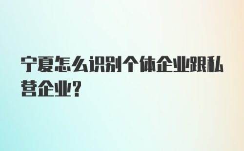 宁夏怎么识别个体企业跟私营企业?