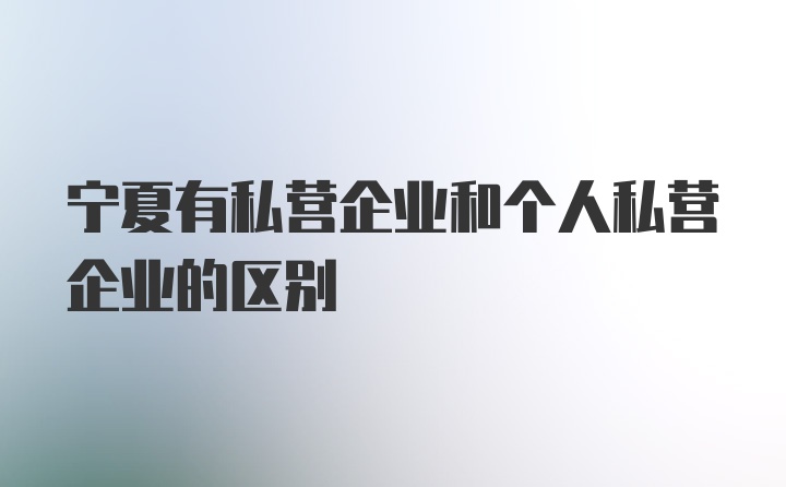 宁夏有私营企业和个人私营企业的区别