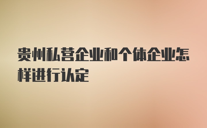 贵州私营企业和个体企业怎样进行认定