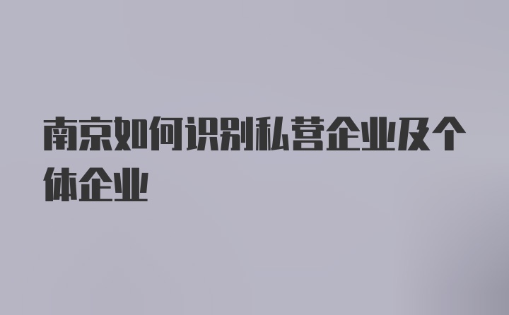 南京如何识别私营企业及个体企业