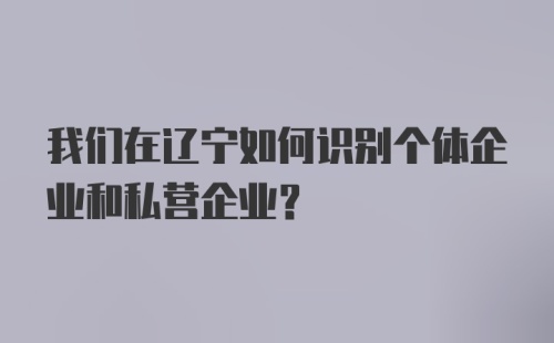 我们在辽宁如何识别个体企业和私营企业？