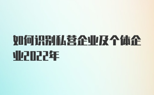 如何识别私营企业及个体企业2022年