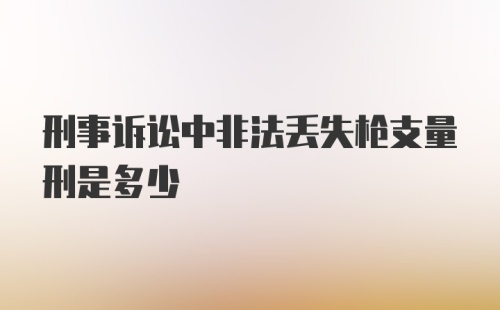 刑事诉讼中非法丢失枪支量刑是多少