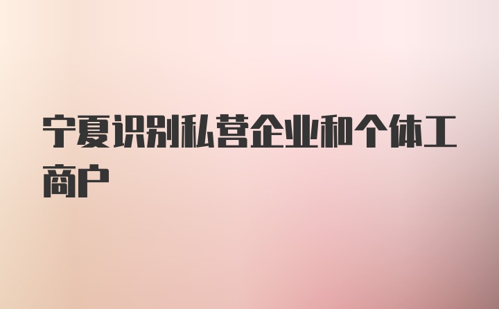 宁夏识别私营企业和个体工商户