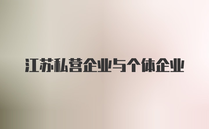 江苏私营企业与个体企业