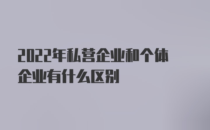 2022年私营企业和个体企业有什么区别