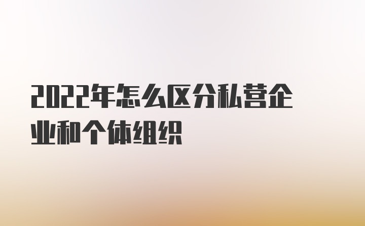 2022年怎么区分私营企业和个体组织