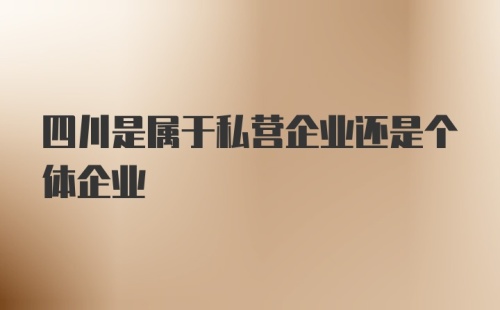 四川是属于私营企业还是个体企业