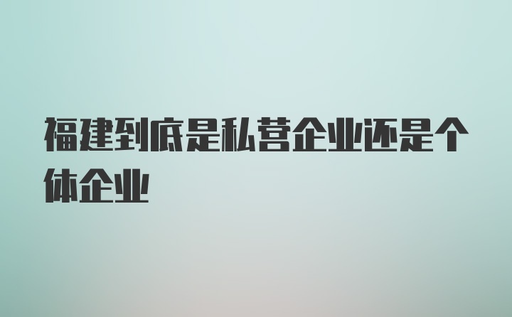 福建到底是私营企业还是个体企业