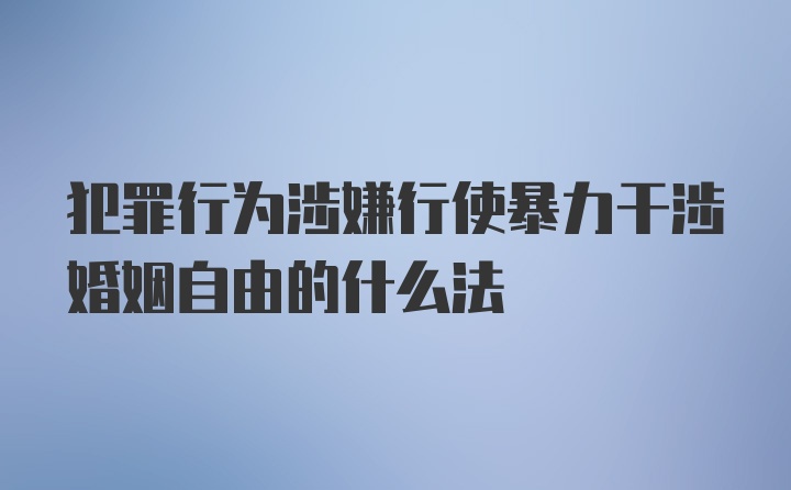 犯罪行为涉嫌行使暴力干涉婚姻自由的什么法