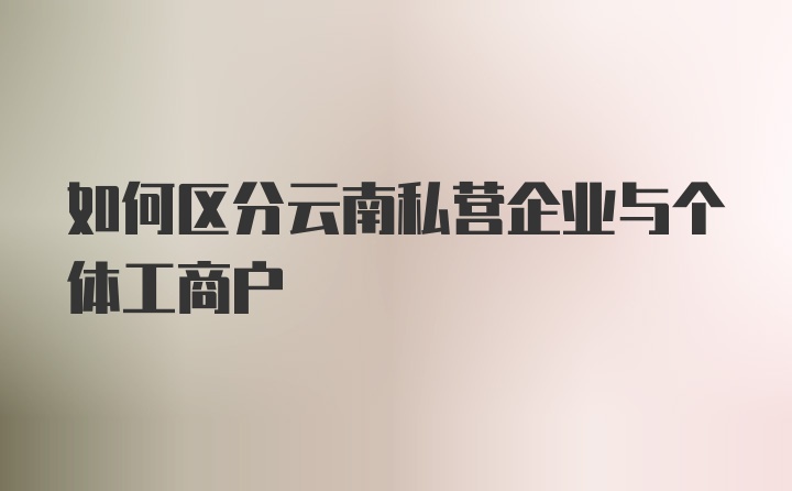 如何区分云南私营企业与个体工商户