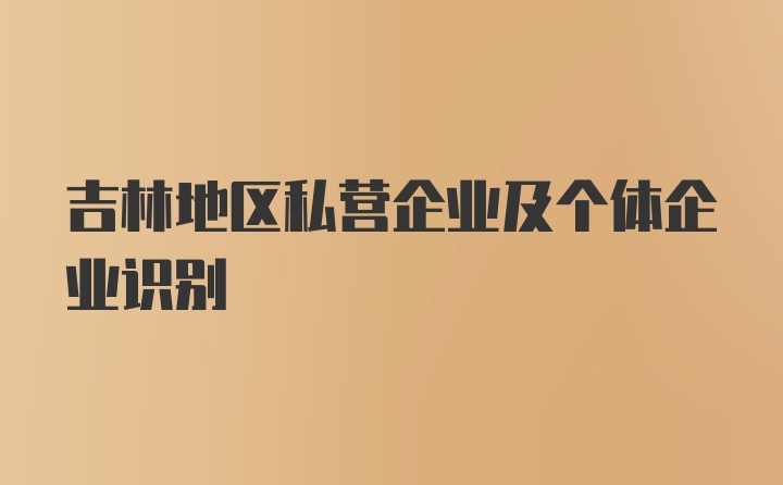 吉林地区私营企业及个体企业识别