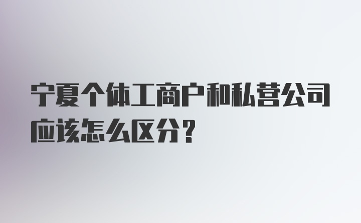 宁夏个体工商户和私营公司应该怎么区分？