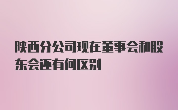 陕西分公司现在董事会和股东会还有何区别