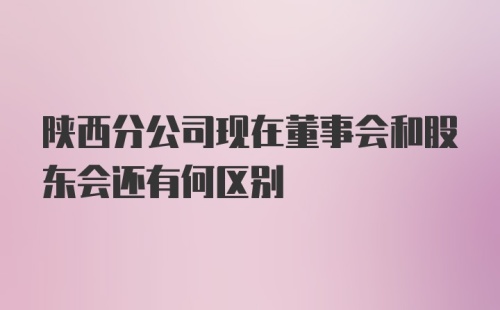 陕西分公司现在董事会和股东会还有何区别