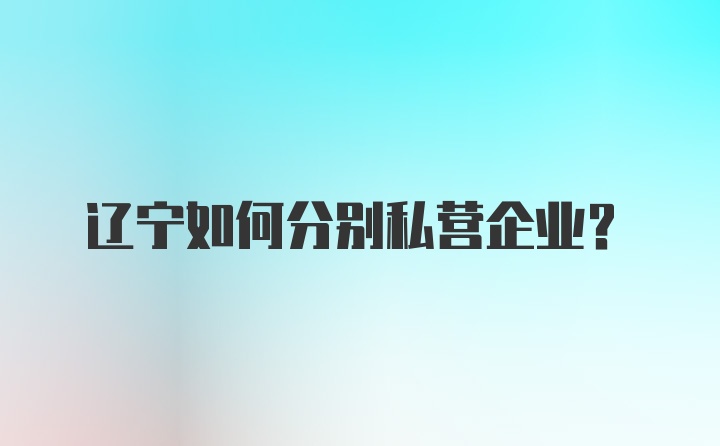 辽宁如何分别私营企业？